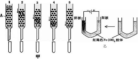 圆褐固氮菌是自生固氮菌,为经济有效地提高农作物产量,人们一直在努力