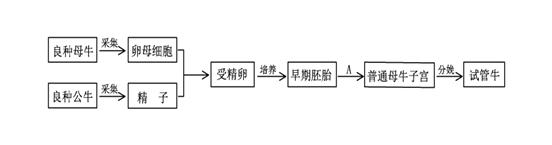 45,(8分,每空1分)胚胎工程是一项综合性动物繁育技术