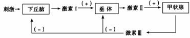 下图是甲状腺活动的调节示意图,请据图回答(1)图中激素Ⅰ和激素