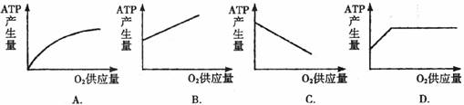 动物细胞内atp产生量与o2供应量之间关系的曲线图是