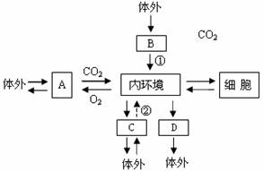 四大系统