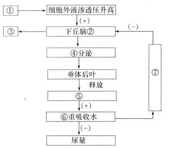 下图是人体内水和无机盐平衡调节示意图,据图回答下列问题