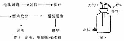 下面是果酒和果醋制作的实验流程和发酵装置根据图示回答下列问题