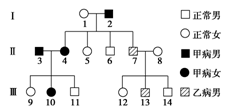 下图为甲病(a-a)和乙病(b-b)的遗传系谱图,其中乙病为伴性遗传病,请