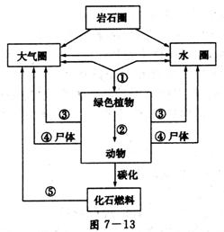 根据下面的碳循环示意图7—13回答问题:(1)从微观上看,过程③主要是在