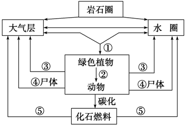 高中生物生态系统的结构和功能试题列表-高中生物生物