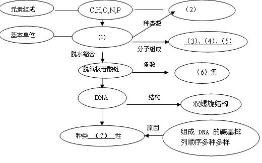 请完成下列有关dna分子的概念图