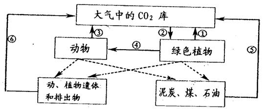 产业生态系统资源循环模式及路径论文