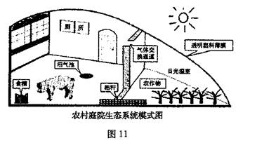 依据生态学原理对农村家庭生活用燃料,厨余垃圾和庭院