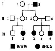 白化病是人类的一种单基因遗传病,请据图分析回答