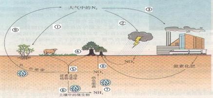 下图为自然界氮循环示意图.据图回答: (每空3分,共30分)