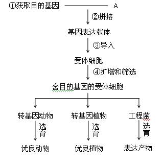 (9分)基因工程是现代生物技术之一,其基本操作流程如下图