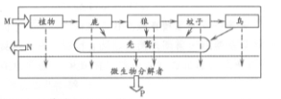 (09日照市一模)下图表示某生态系统(部分)组成及物质和能量流动情况