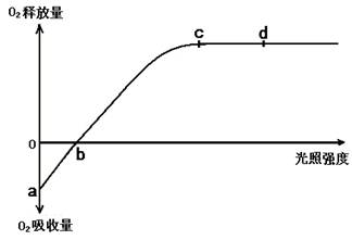 (9分)植物光照强度与光合速率(以氧气释放量表示)如下