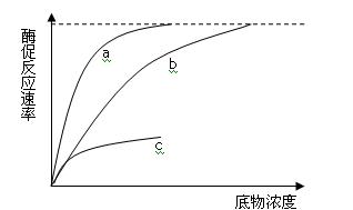 分为竞争性和非竞争性两种,竞争性抑制剂与底物竞争酶的活性位点,从而