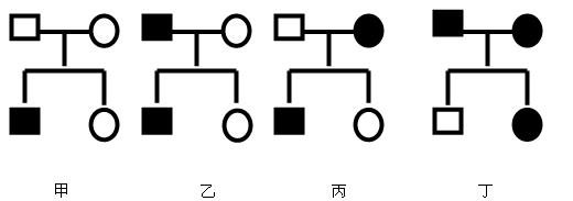 下图4个家系,带阴影为遗传病患者,白色表现正常,叙述正确的是