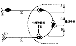 高中生物单项选择练习题考试试题及答案