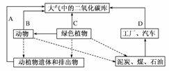 图是生态系统中碳循环的简单示意图,请据图回答下列问题