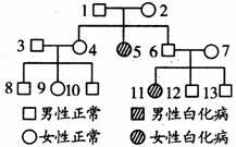 系谱图,已知某种白化病4代人遗传图谱白化病家族遗传图谱白化病系谱图