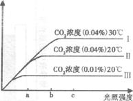 科学家研究c02浓度,光照强度和温度对同一植物光合的