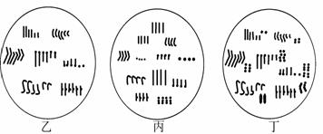 下图为几种生物细胞内染色体示意图,请回答