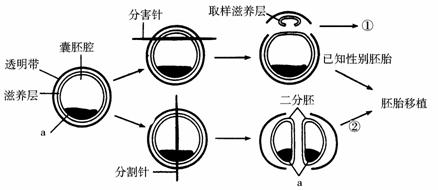 请据图作答