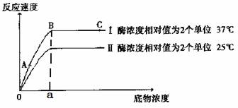 下图表示在不同条件下,atp合成酶的酶促反应的速度变化曲线,试分析