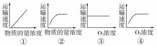 试问:物质x跨膜运输的方式是)